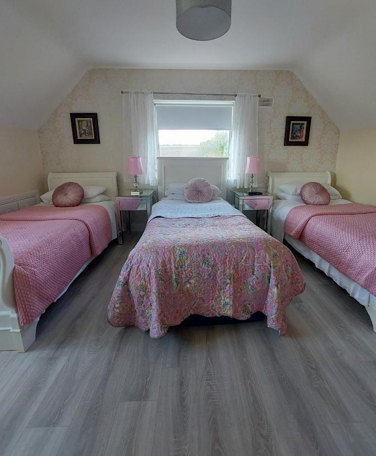 Brandon View House B&B Graiguenamanagh Exterior foto
