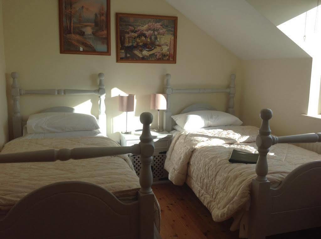 Brandon View House B&B Graiguenamanagh Exterior foto